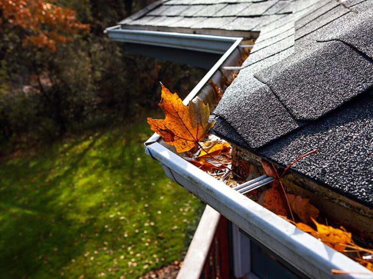 Expert Roof Drainage Solutions: Protect Your Charleston Investment